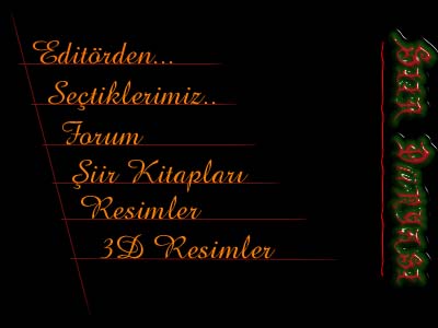 Siir Dünyasi Menu